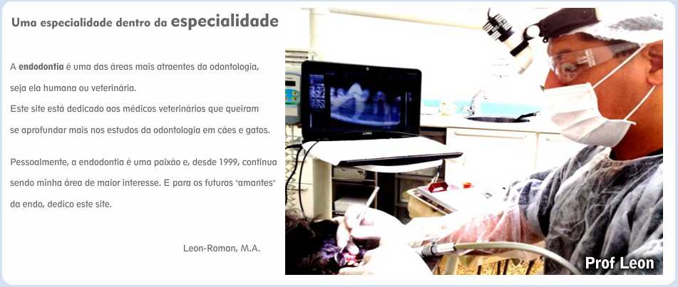 endodontiaveterinaria